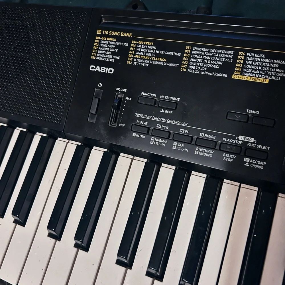 Casio Black and White Electronic Keyboard
